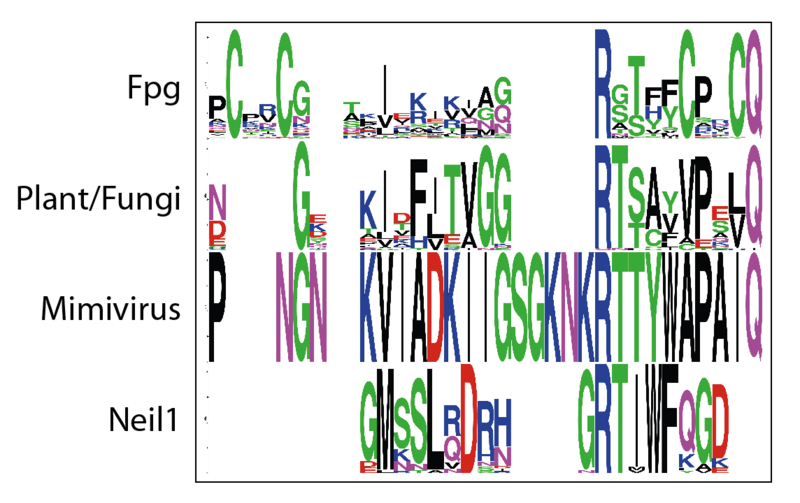 Image:ZincFingerComparison.png