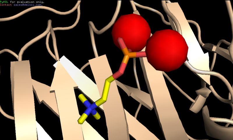 Image:Phosphocholine.PNG