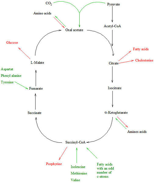 Image:Relpathways.jpg
