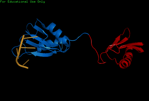 Figure 2. This is another fig legend