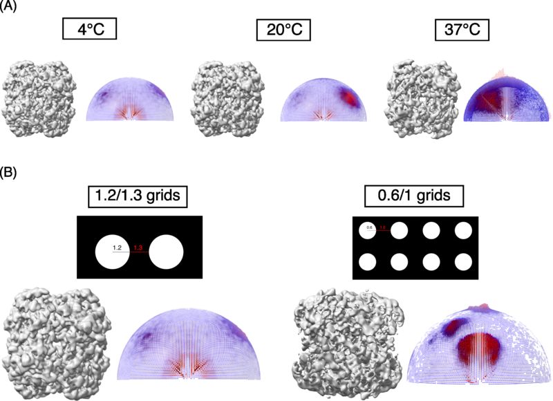 Image:Figure2RR5238.png