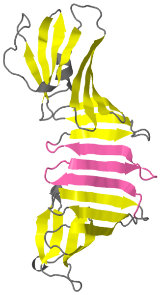 Image:1OSP.png