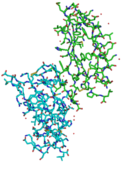 Image:2fkl pymol representation.png