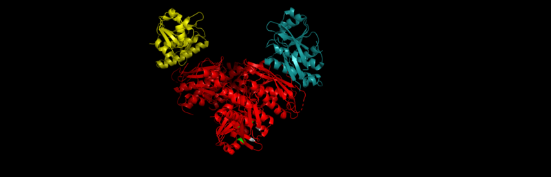 Image:2x36py0001.png