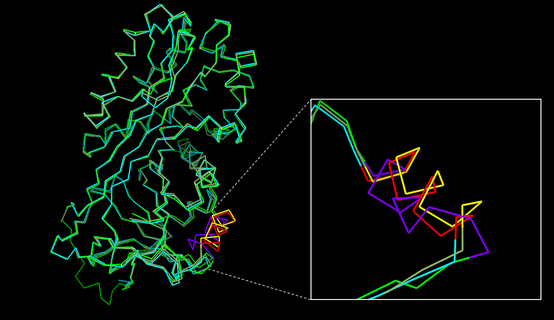 Fig. 1 - Maspin on its closed (PDB code 1xqg) and opened (PDB code 1wz9) form based on the ideia of the conformation "switch" in wich the rotation of G-helix changes maspin's charge distribuition . Positive and negative charges can be seen in blue and red respectively, likewise neutral net charge are represented by whyte color. The region comprising the G-helix is highlighted.