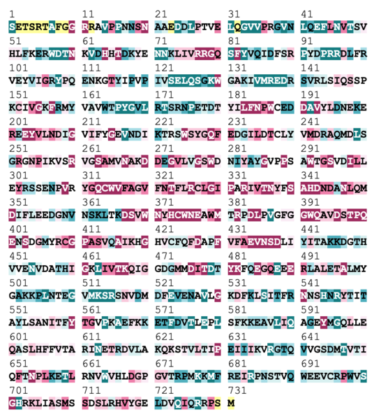 Image:Factor XIII Sequence.png