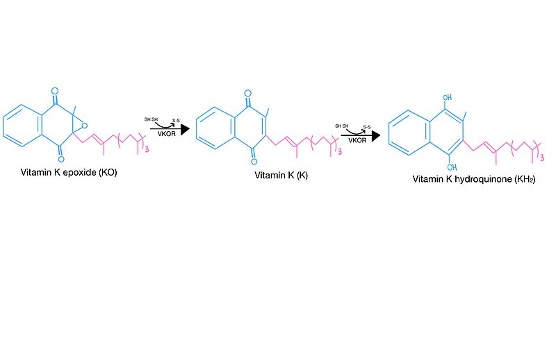 Image:Catalytic Mech-5.jpg