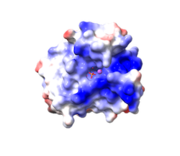 The dark blue region represents the highly positive groove