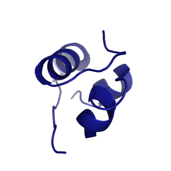 Image:Insulin.png