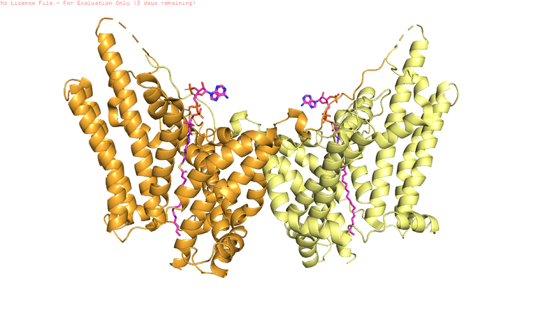 Image:Dgat photo 1.png