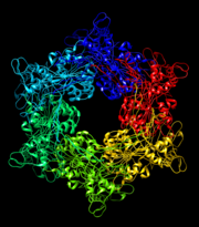 Hexameric structure of GspE