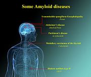 Amyloid diseases
