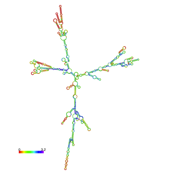 Image:LuxO RNA.png