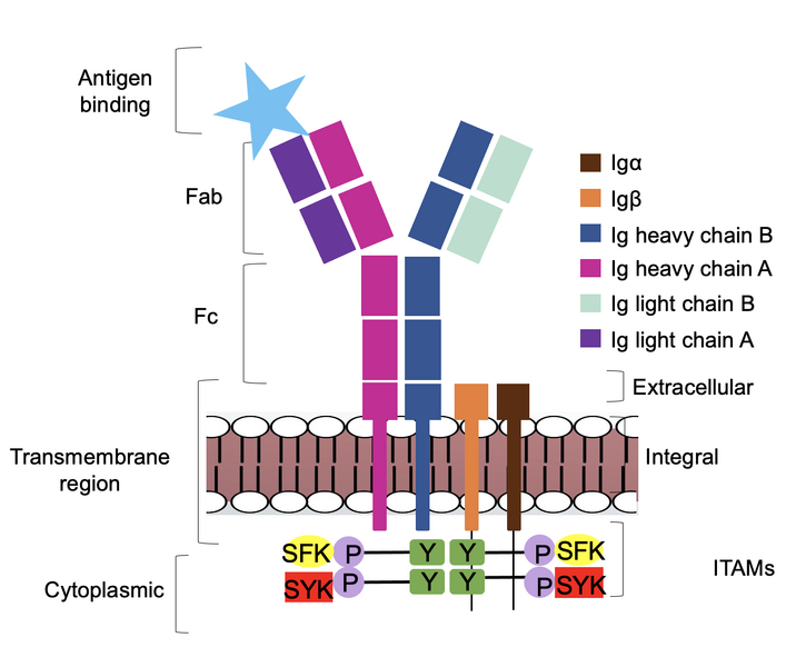 Image:Signal diagram.png