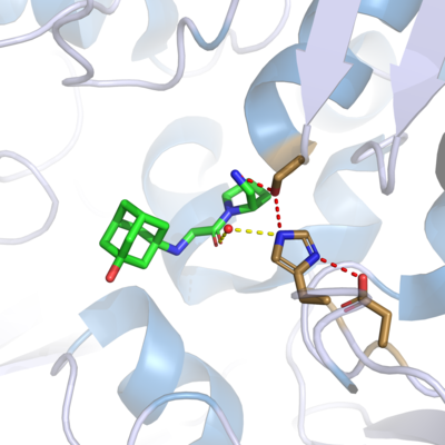 Figure 1. Catalytic triad of DPPIV with Vildagliptin Bound to active site (Catalytic water is shown in Red).