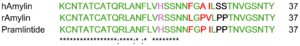 Figure 2. Amylin sequence alignment for human amylin, rat amylin, and pramlintide. Green represents fully conserved residues, pink represents positive residue to positive residue, red is nonpolar to nonpolar, and black is polar to nonpolar.