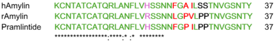 Figure 2. Amylin sequence alignment for human amylin, rat amylin, and pramlintide. Green represents fully conserved residues, pink represents positive to positive, red is nonpolar to nonpolar, and black is polar to nonpolar.