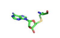 S-adenosyl homocysteine (SAH)