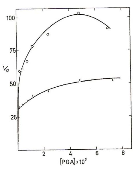 Image:Enolase kinetics.jpeg