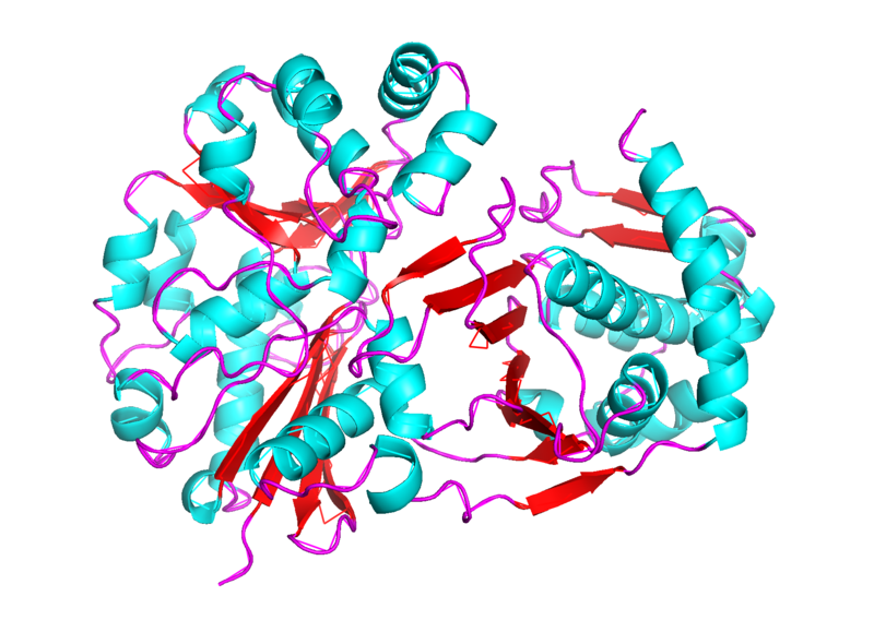 Image:StructureP30646.png