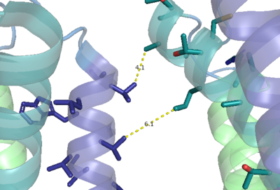 Figure 1. Hydrophobic interactions between transmembrane helices III and IV that stabilize the inactive for of mGlu2.