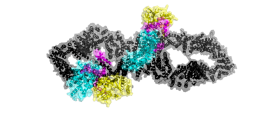 Figure 1. The coolest image of this protein EVAHHHHHHH!!!!!!!