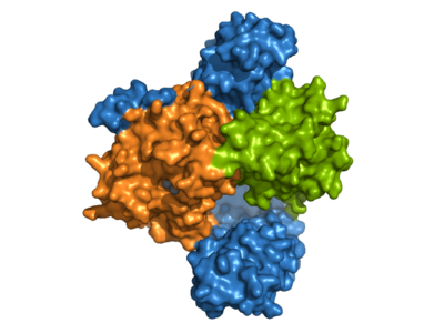 Figure 1.