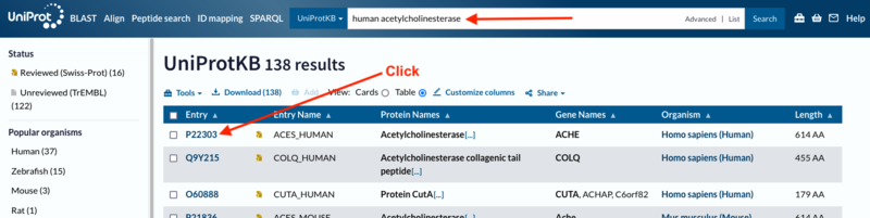 Image:Uniprot-search-hs-ache.png