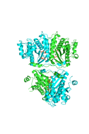 The hThg1 tetramer is shown in cartoon form. The dimer of dimers is crystallographic. The dGTP and triphosphate are shown in sticks, with the coordination metal ions as balls.3otb