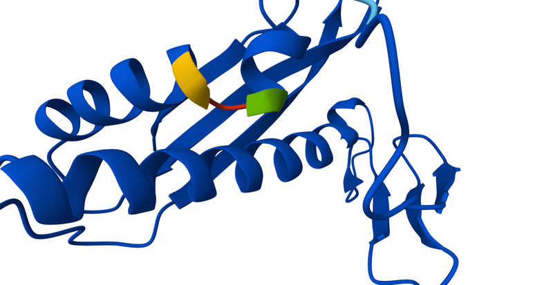 Image:VCPmotif.png