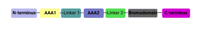 Image:Proteopediadomain.png