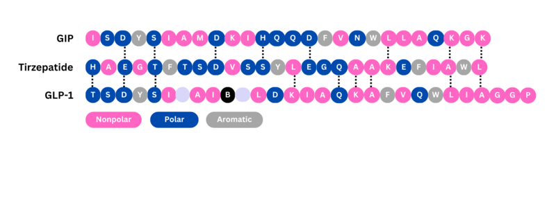 Image:Sequence Alignment.png