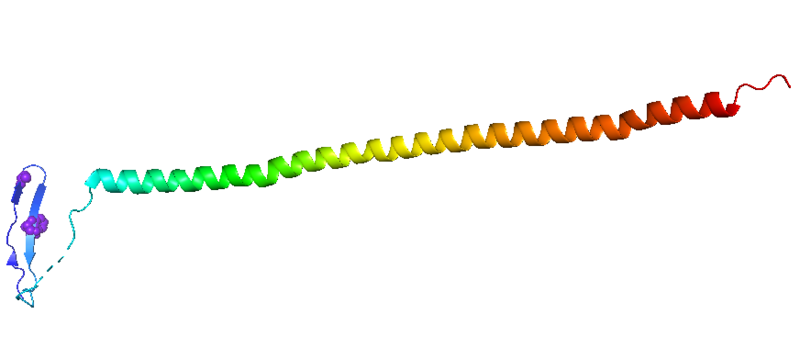 Image:Stathmin mutations.png