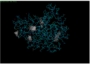 Predicted binding pockets for 3HDT represented by the white shperes
