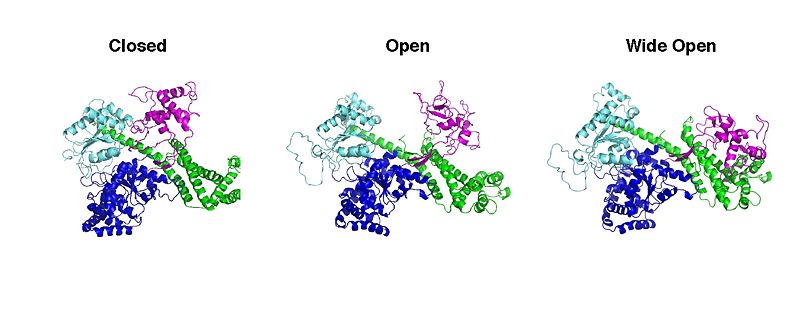 Image:SecAopenclosed.jpg