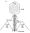 Schematic representation of bacteriophage T4