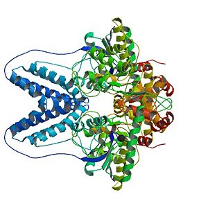 Biological Assembly of the two asymmetric units of Enzyme I of the S. aureus PTS (PEP Phosphotransferase System), 2wqd