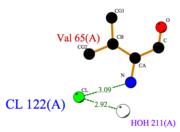 Fig.3 Cl Ligplot