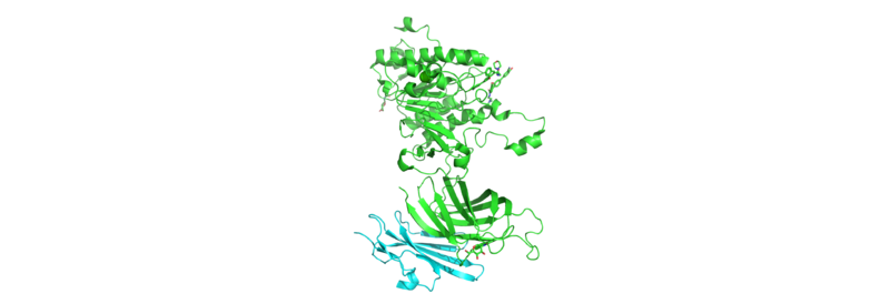 Image:General GPIHBP1-LPL.png