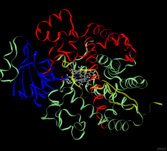 Image:1tqnpt1.pngj
