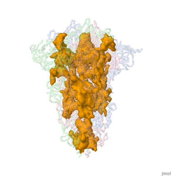 Image:6zgi-m1000-cav.pngj