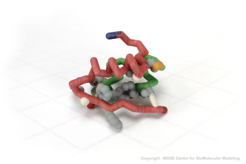 Image:Insulin4 centerForBioMolecularModeling.jpg