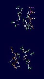 (B)This is an image of the important residues' sidechains involved in binding in stick form; the slighlty orange backbone is the recognition loop, while the slightly green backbones are various other residues described in the text to the left.