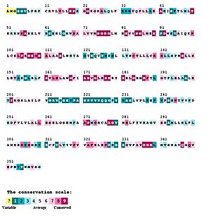 Figure 3. SphK1 Sequence Conservation with Conservation Scale