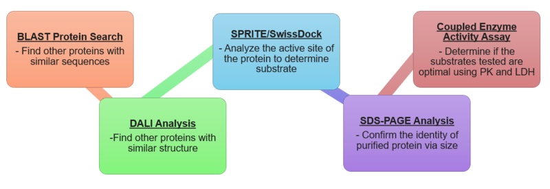 Image:Workflow Figure .png