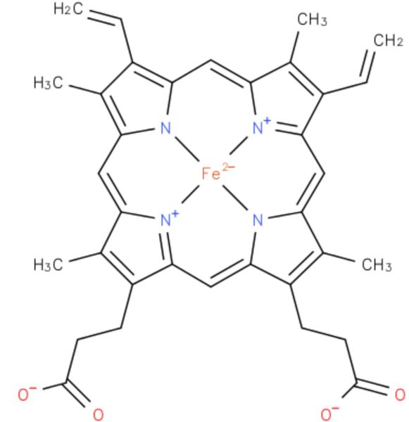 Image:Hfdbtg.JPG