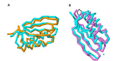 Figure 1.  Overlap of the C-terminal Domain of MgtC with ACT domains of known function. 1A shows the significant overlap of the C-terminal of MgtC with SerA, an ACT domain that has been established to bind amino acids.  1B shows the overlap of the C-terminal domain of MgtC with NikR, a known chelating ACT domain.