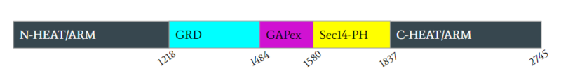 Image:Domain.PNG