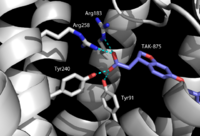 Figure 3. TAK-875 with key binding residues Tyr91, Arg183, Tyr240, and Arg258. These residues all hydrogen bond to the carboxylate moiety of TAK-875.