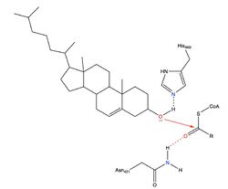 Figure 5: Mechanism for ACAT proposed by Qian et al.